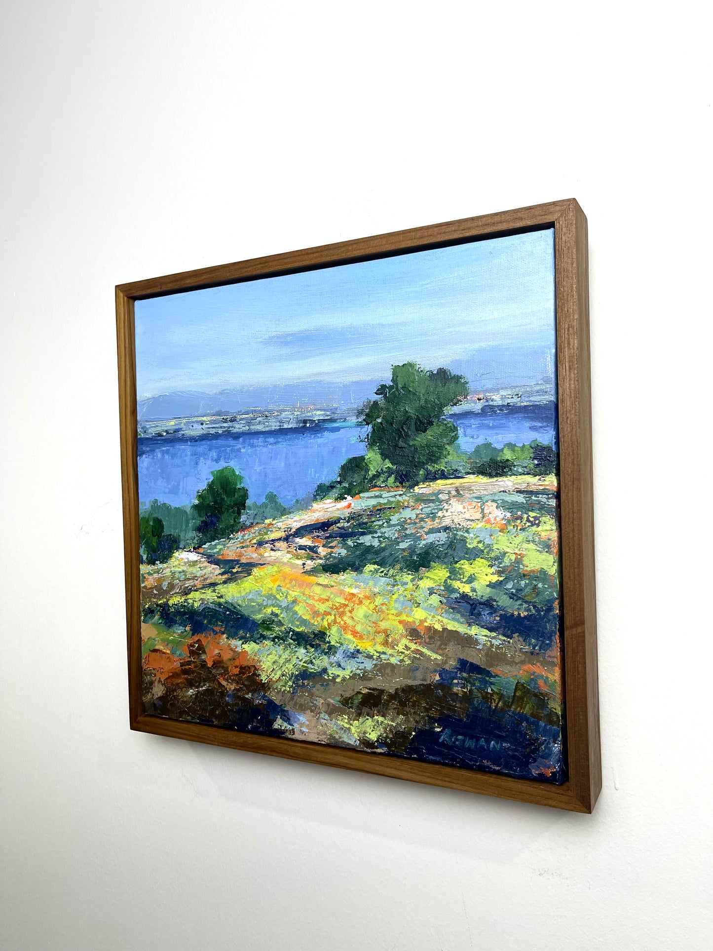 Hills and Valleys No.01