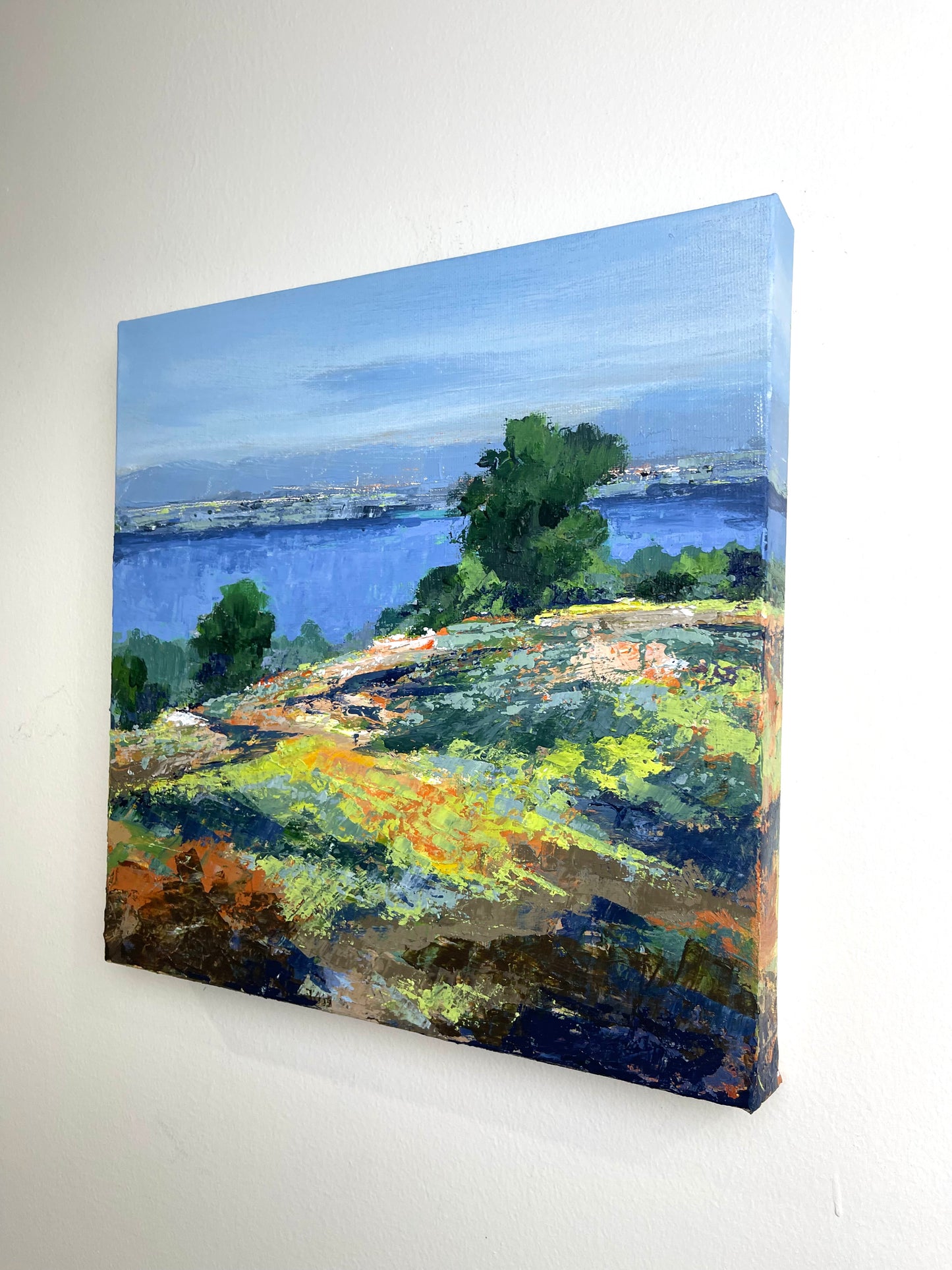 Hills and Valleys No.01