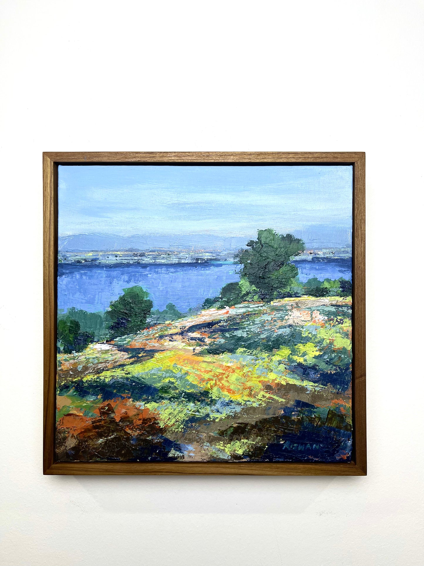 Hills and Valleys No.01