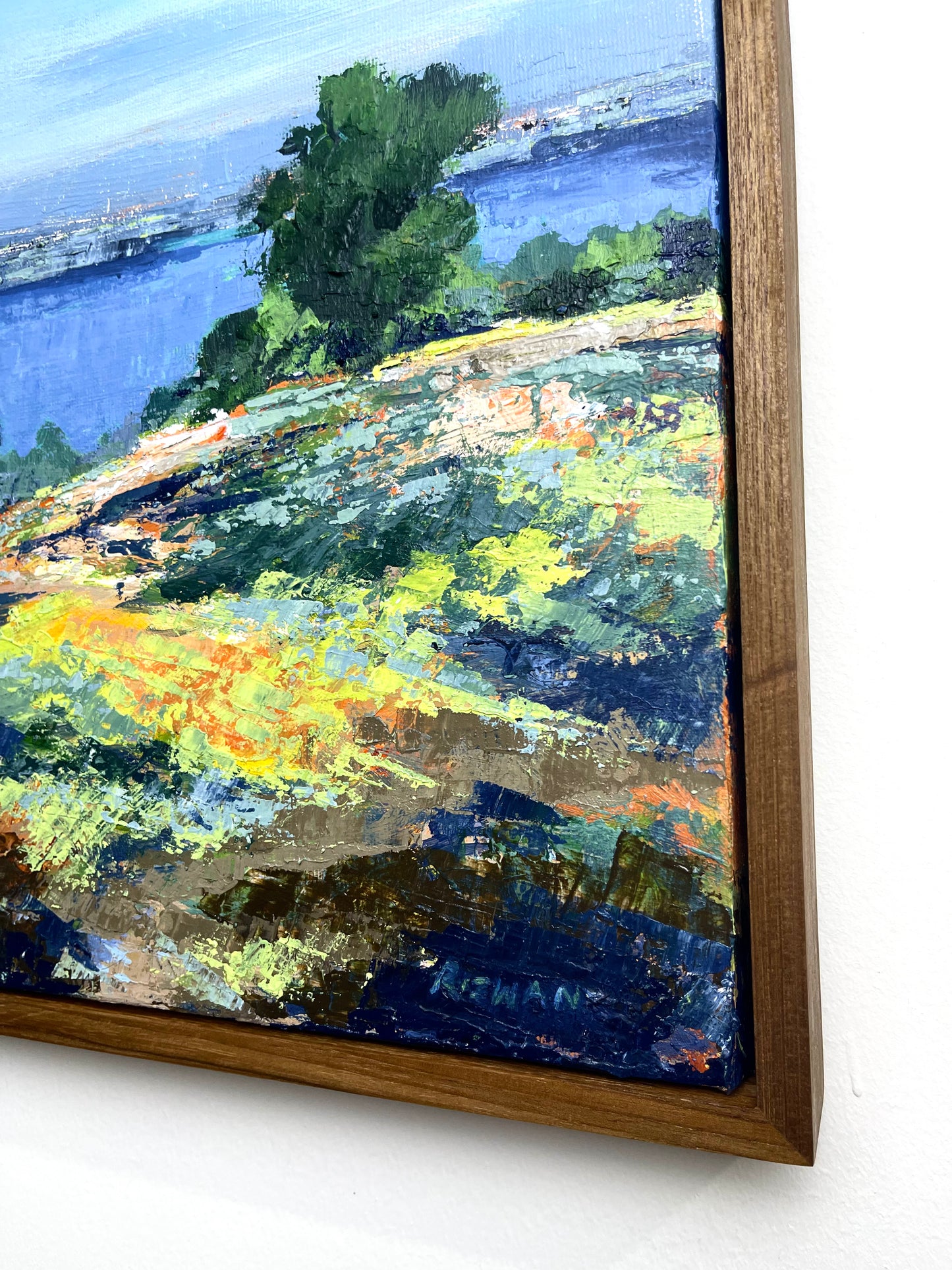 Hills and Valleys No.01