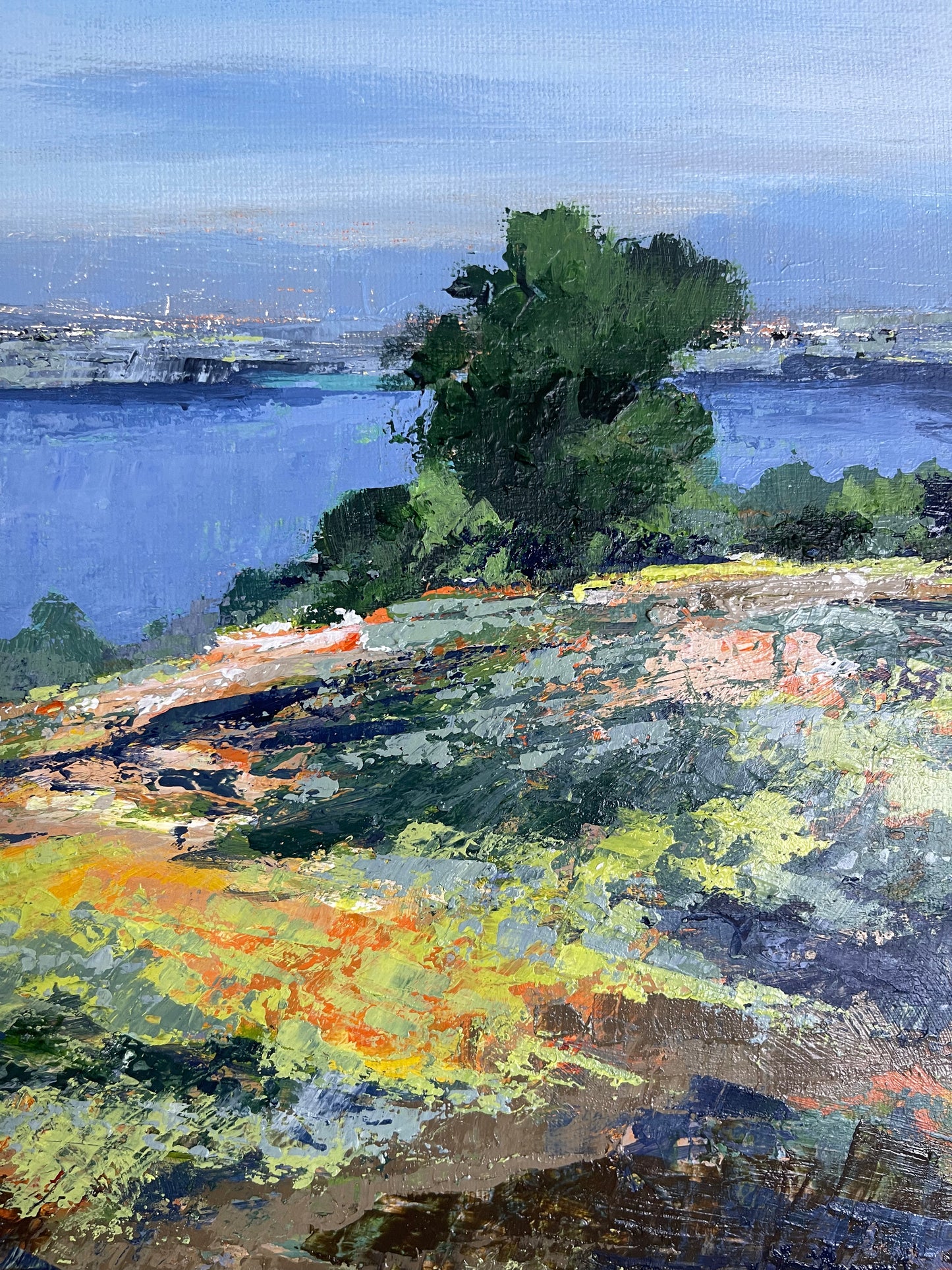 Hills and Valleys No.01