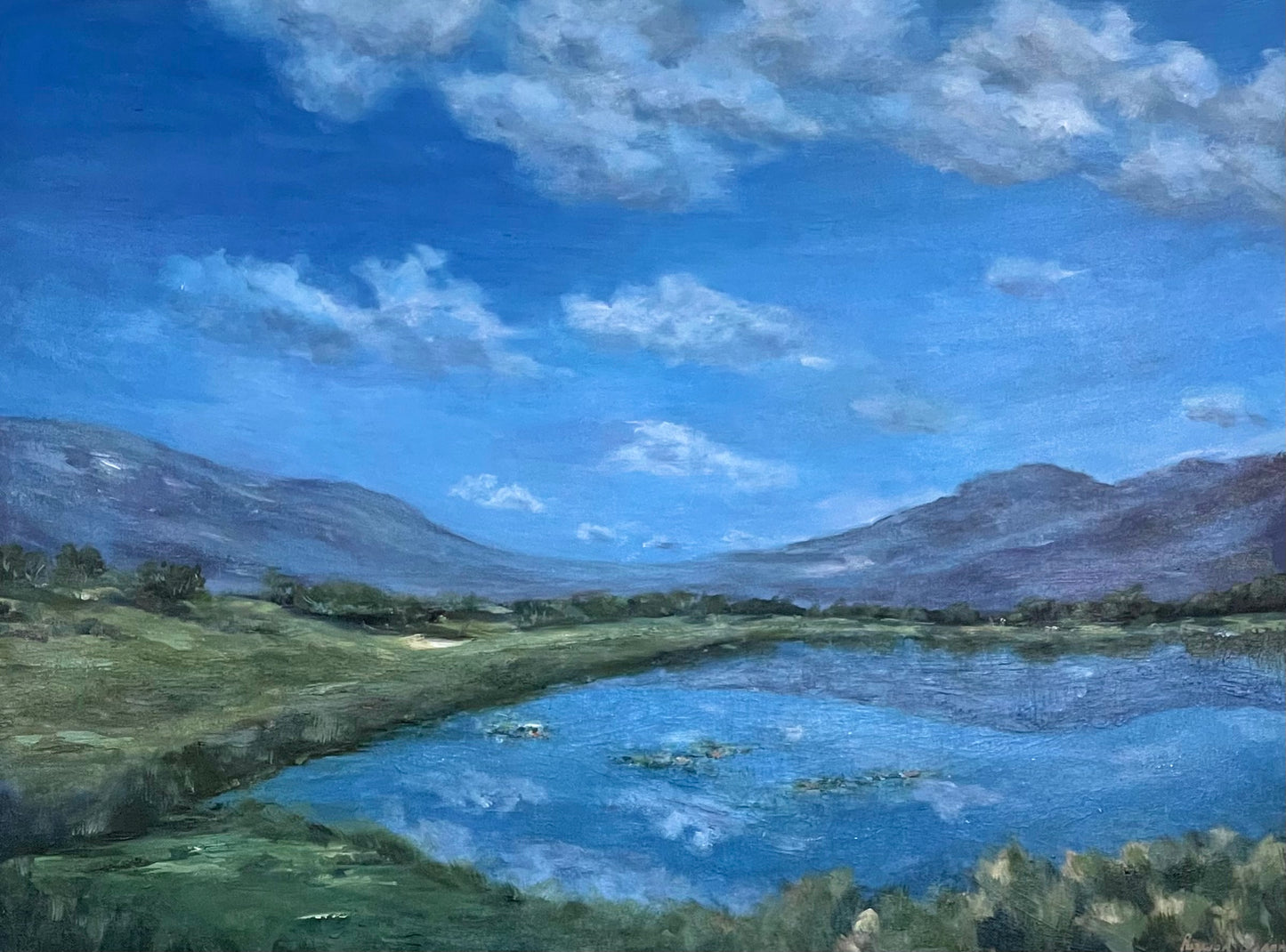 Seasonal No. 03 - After the Rain