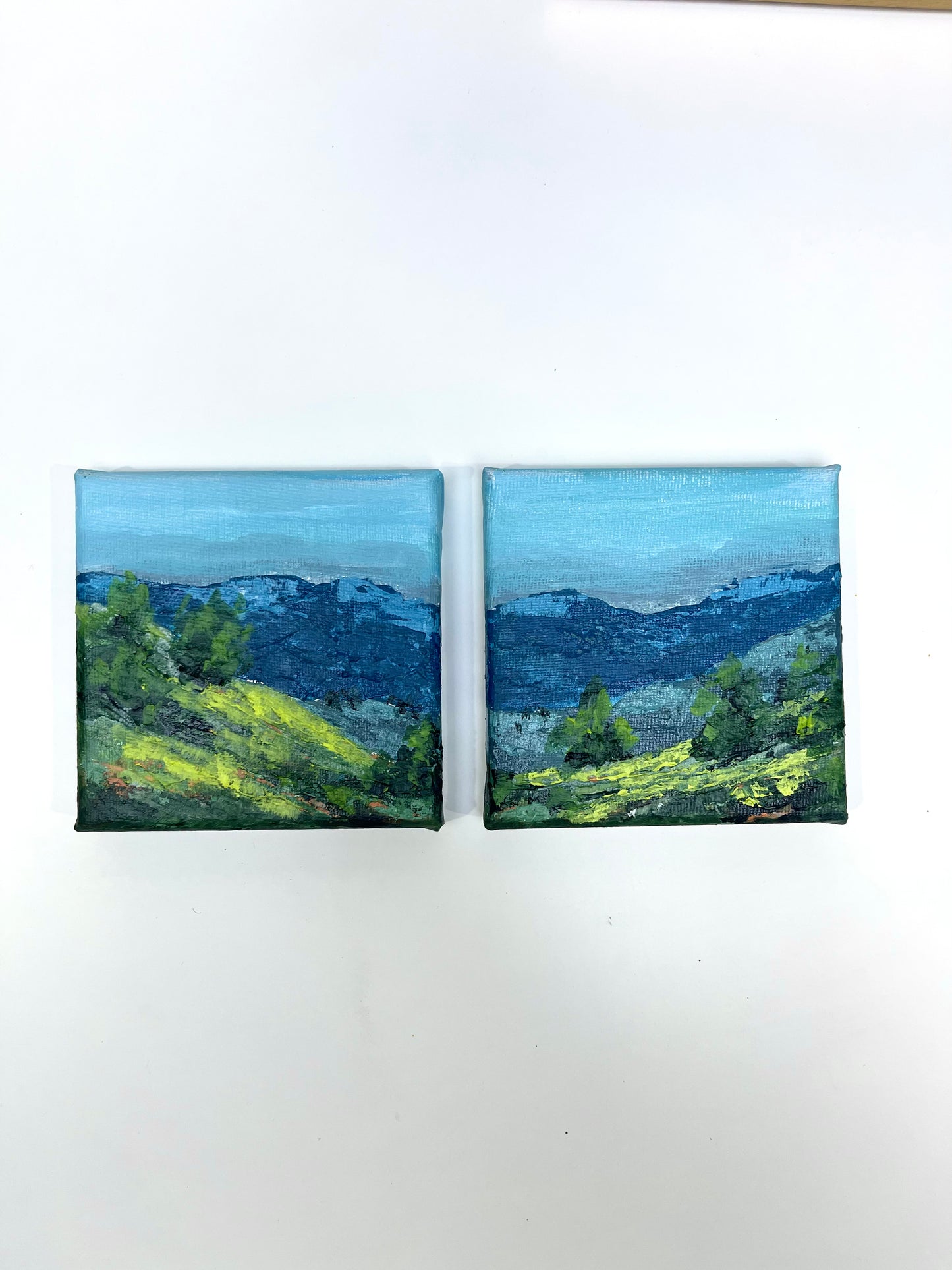 Hills and Valleys No.03 - Mini pair