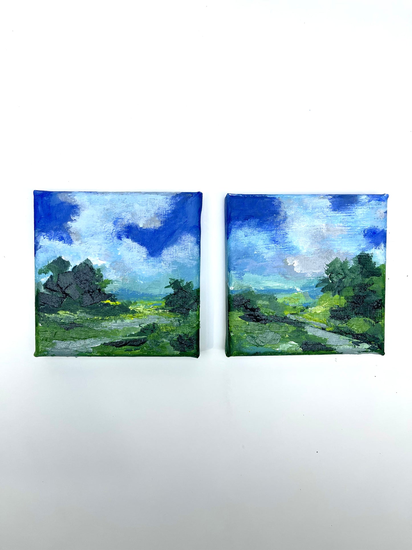Hills and Valleys No.04 - Mini pair